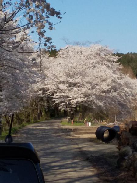 DSC_0563_20220328084836