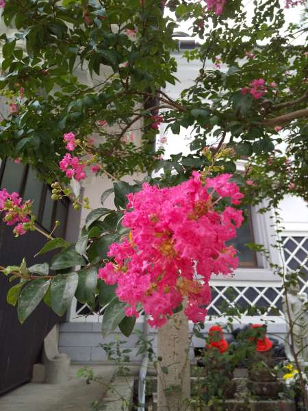 DSC_1041_20210903082359