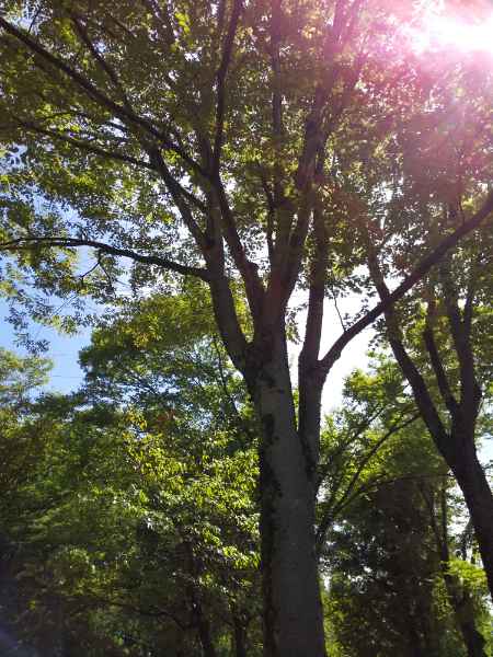 DSC_1077_20210910100503