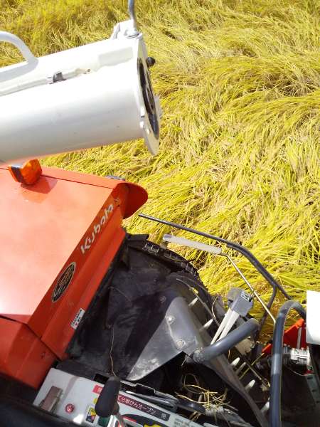 DSC_1096_20210917122102