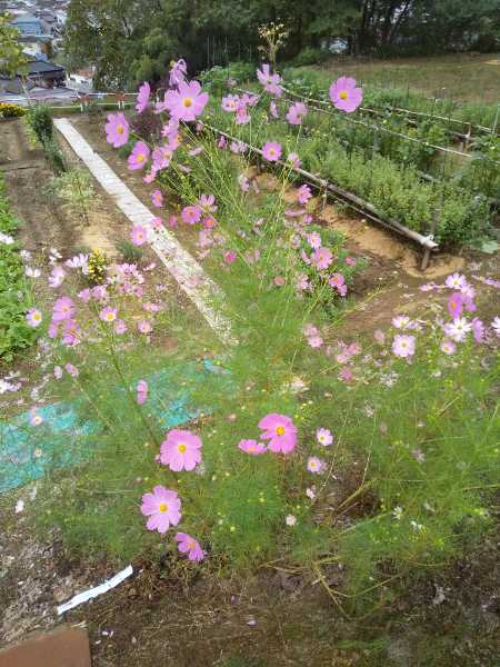 DSC_1137_20210927164950