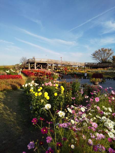 DSC_1175_20211104080753