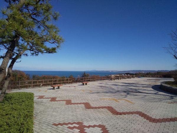 DSC_1237_20211206082240