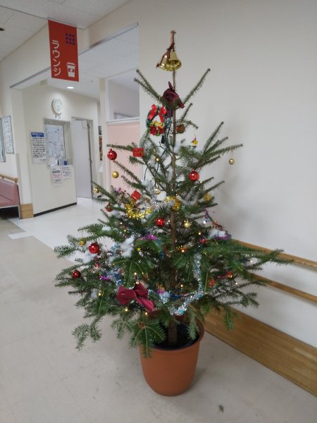 DSC_1269_20211221155030