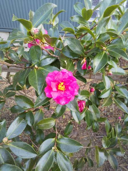 DSC_1278_20211227084252