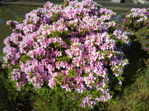 DSC_1386_20220510083145