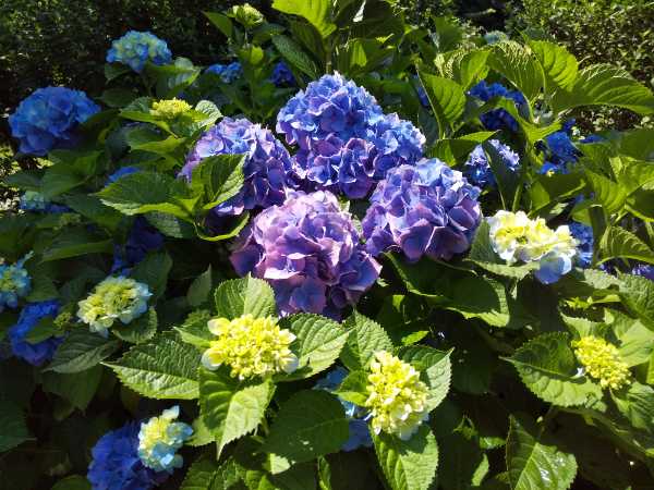 DSC_1418_20220722083827